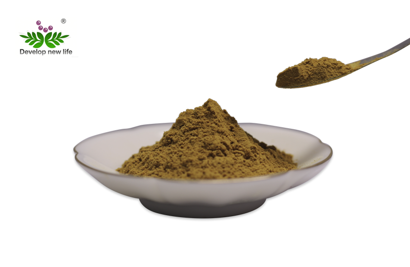 Turkey Tail Mushroom Extract Powder